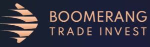 Boomerang Trade Invest logo