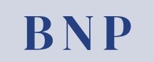BNP Groups logo