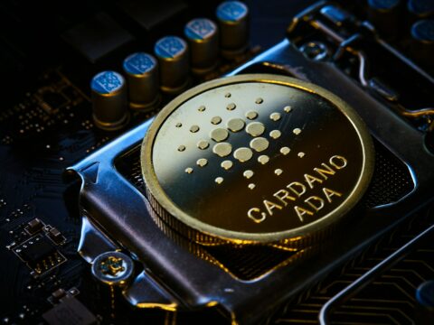 The Best 5 Places to Stake Cardano (ADA) in 2024