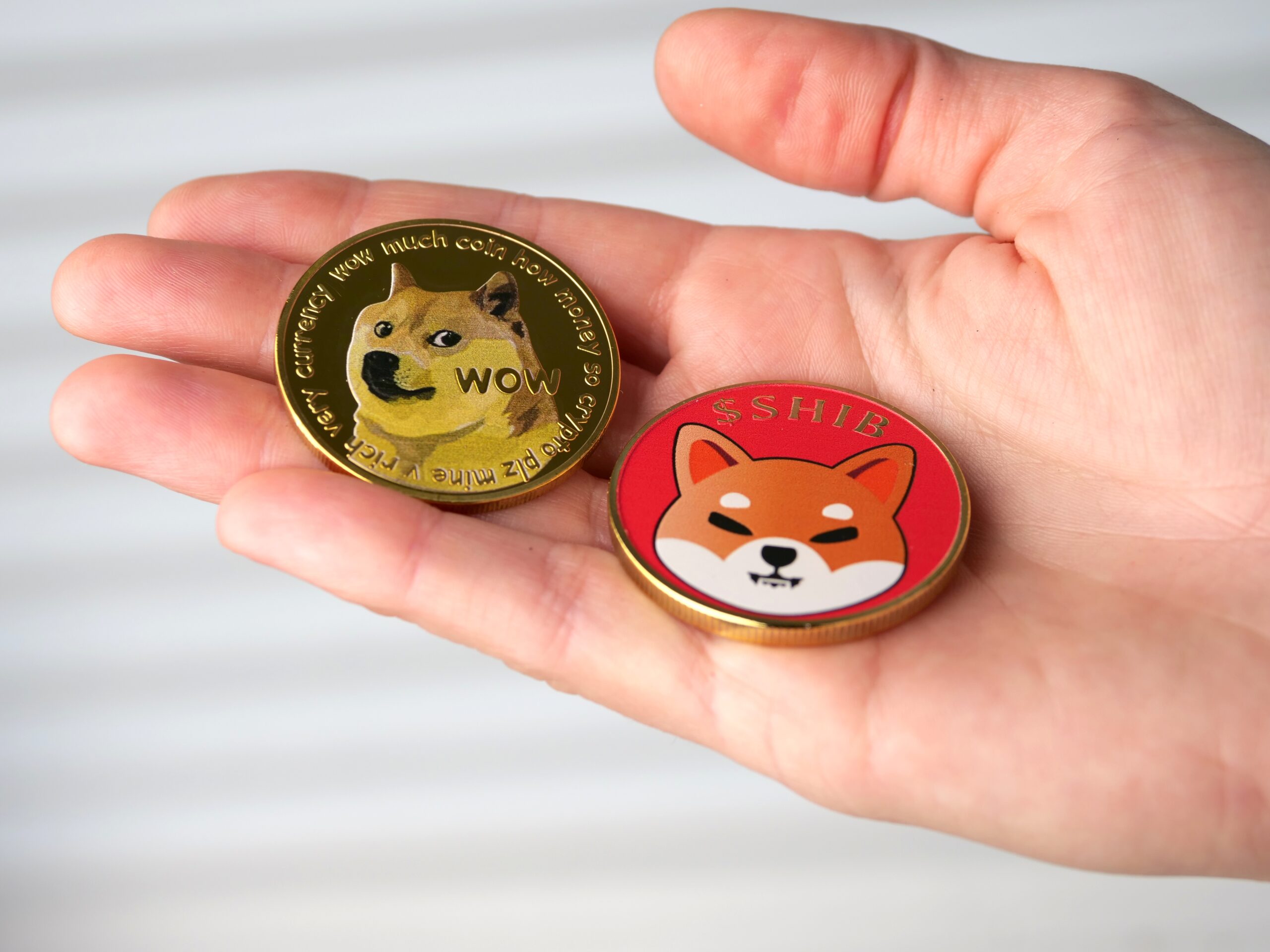 The Best 5 Shiba Inu Alternatives to Buy in 2024