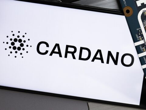 The Best 5 NFT Marketplaces on Cardano Network