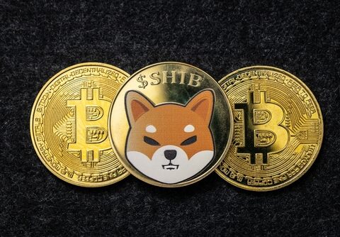 Bitcoin (BTC) vs Shiba Inu (SHIB): Which Is a Better Investment?