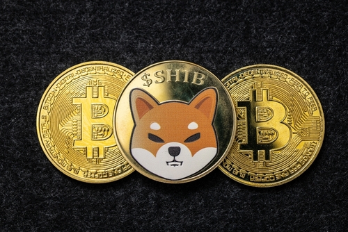 Bitcoin (BTC) vs Shiba Inu (SHIB): Which Is a Better Investment?