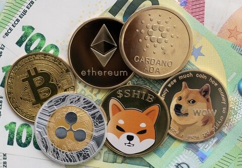 Ripple (XRP) vs Shiba Inu (SHIB): Which Is a Better Investment?