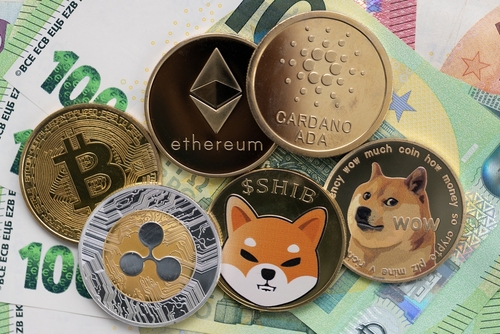 Ripple (XRP) vs Shiba Inu (SHIB): Which Is a Better Investment?